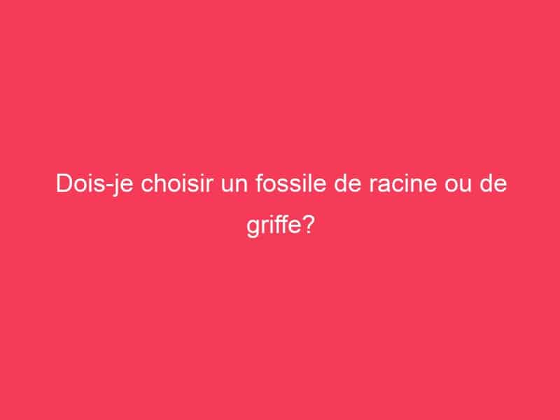 Doisje choisir un fossile de racine ou de griffe? Guide Achat Gamer