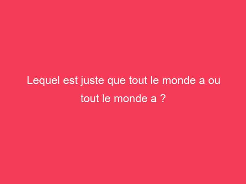 Lequel est juste que tout le monde a ou tout le monde a ? Guide Achat Gamer