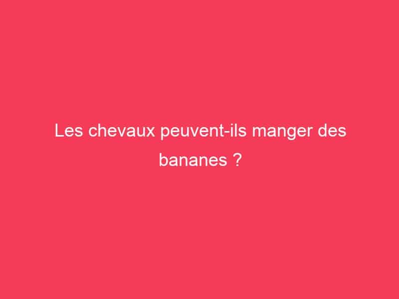 Les chevaux peuventils manger des bananes ? Guide Achat Gamer