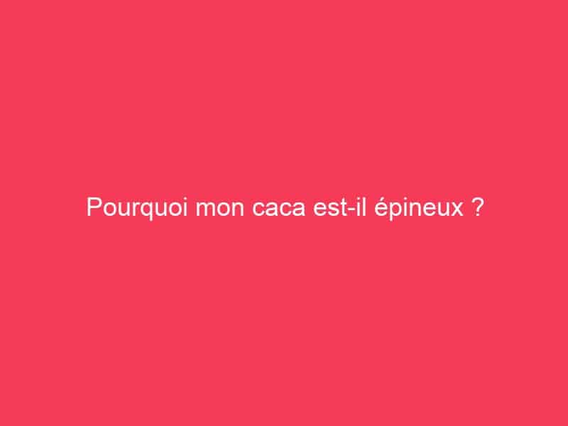 Pourquoi mon caca estil épineux ? Guide Achat Gamer