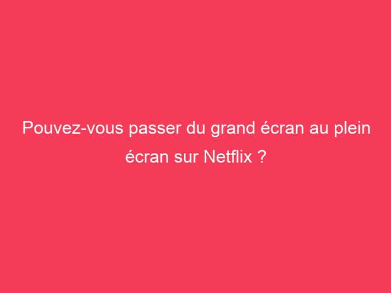 Comment Faire Pour Avoir Le Plein Ecran Sur Netflix