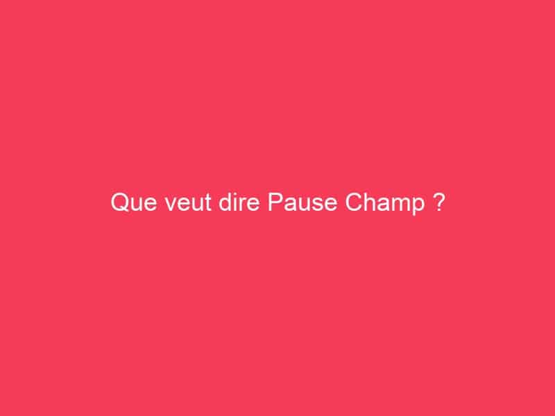 Que veut dire Pause Champ ? Guide Achat Gamer