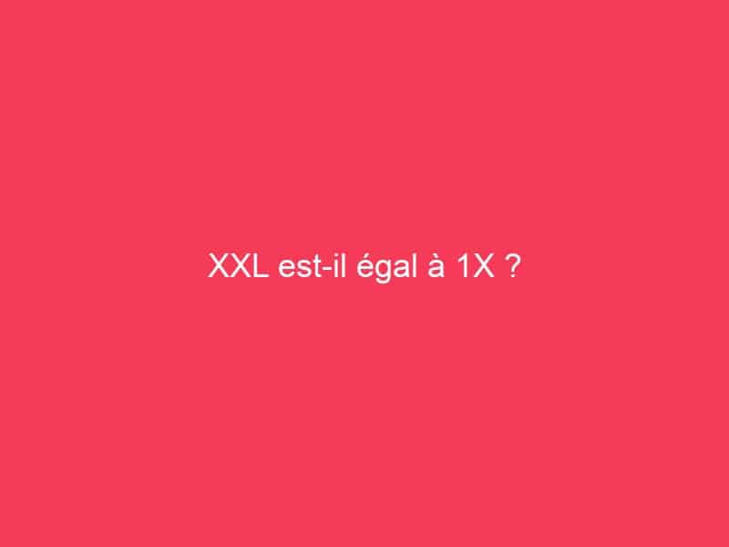 xxl-est-il-gal-1x-guide-achat-gamer